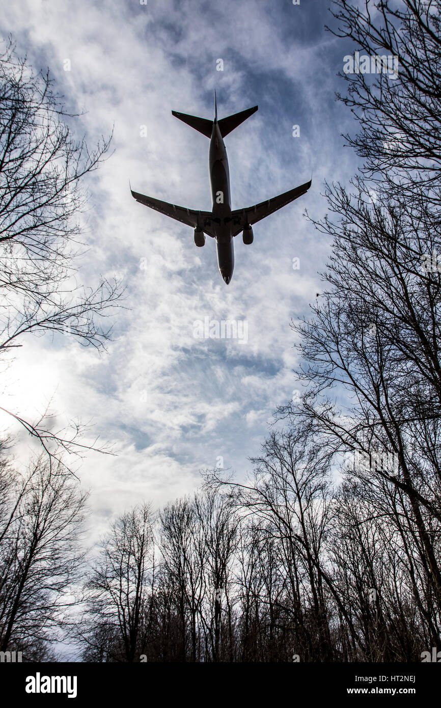 Aviation, plane at Landing approach to DŸsseldorf International Airport, Germany,  trees, Stock Photo