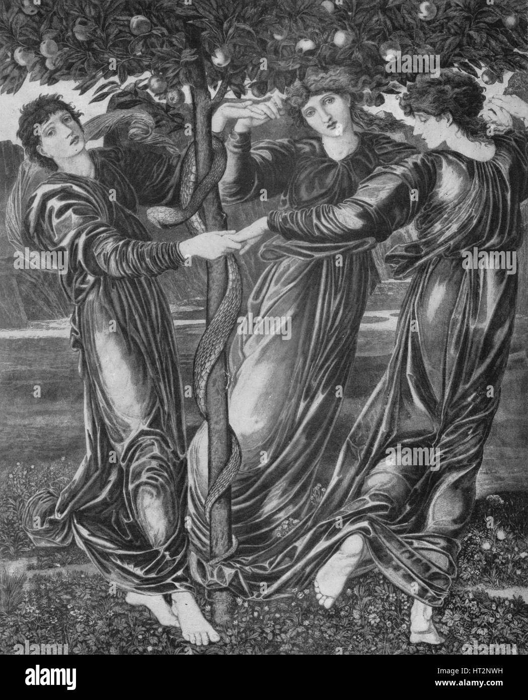 'The Garden of the Hesperides', c1870, (1917). Creator: Unknown. Stock Photo