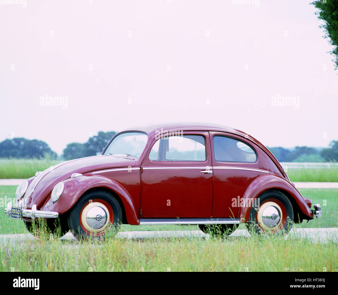1950 Volkswagen Beetle. Artist: Unknown. Stock Photo