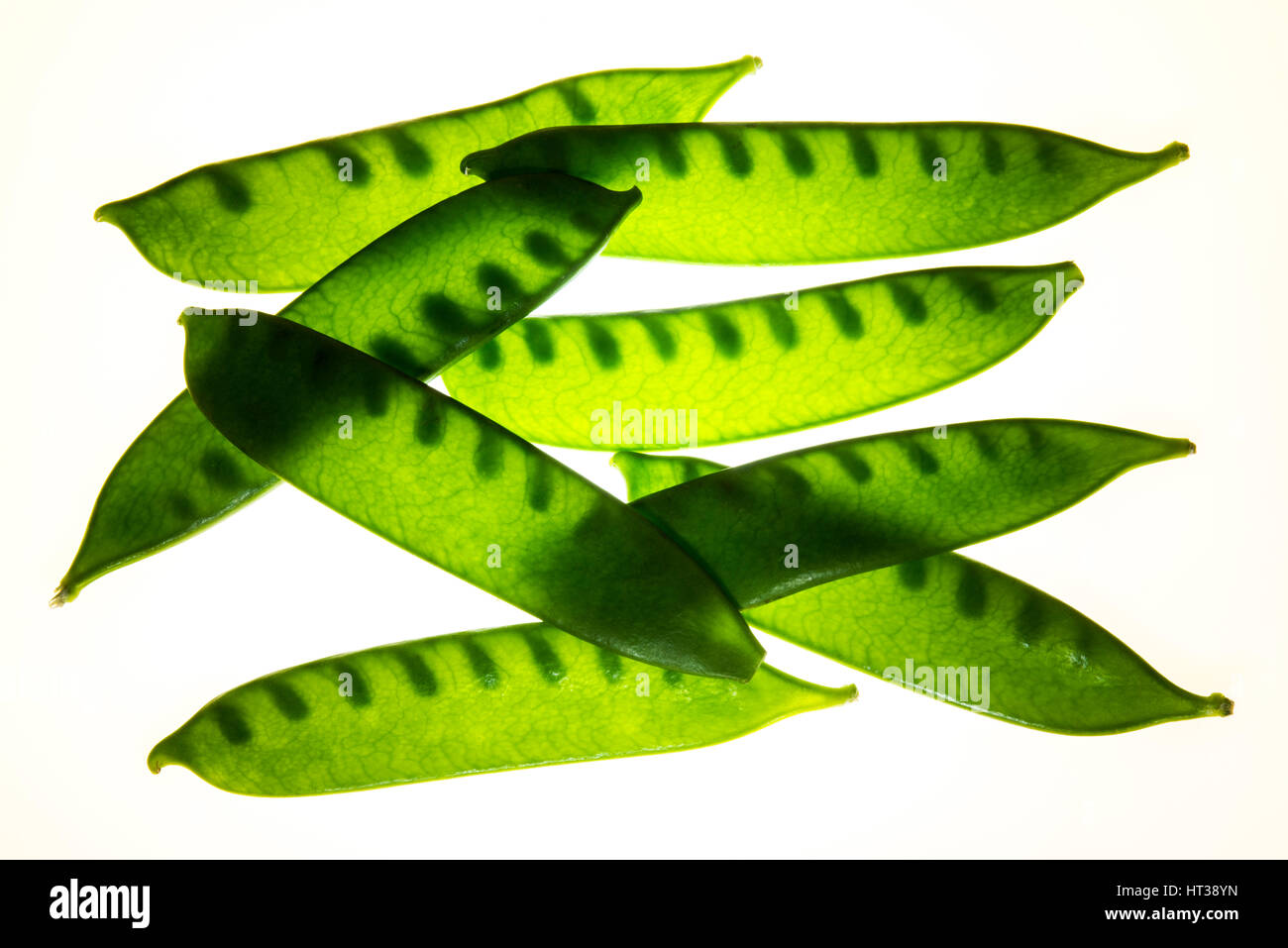 Sugar peas (Pisum sativum saccharatum) Stock Photo