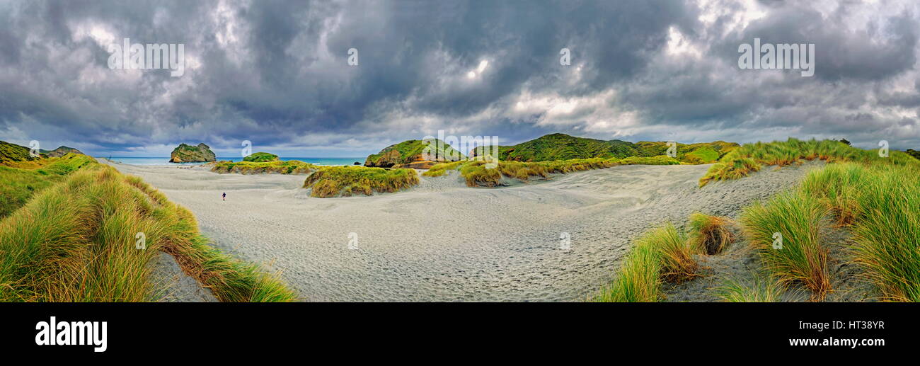 Sandy beach with grassy dunes, Wharariki Beach, Cape Farewell, Puponga, Tasman Region, Southland, New Zealand, Oceania Stock Photo