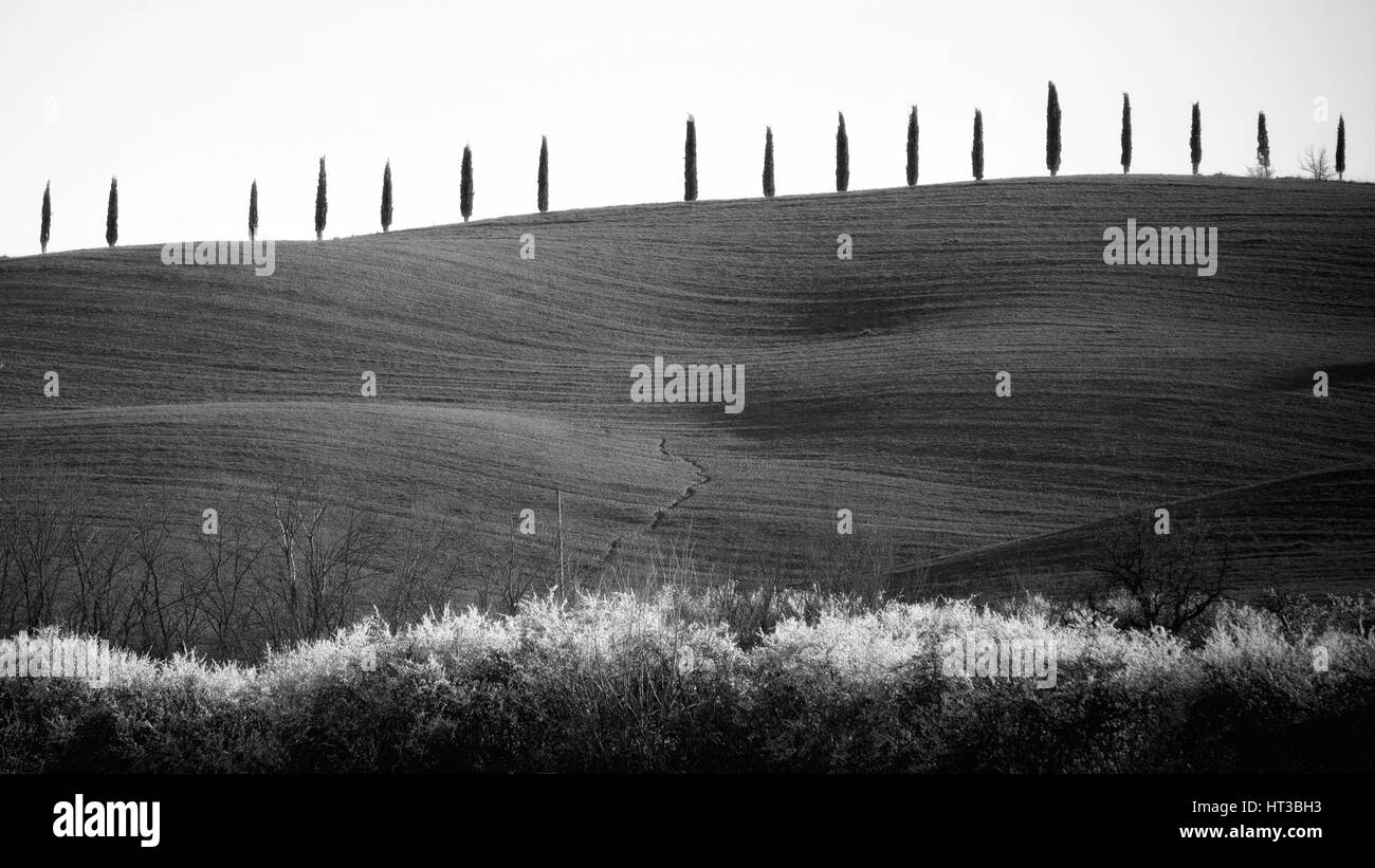 Landscape in tuscany sunset Black and White Stock Photos & Images - Alamy