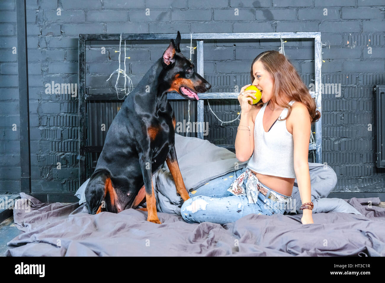 Woman in bed with big black doberman dog Stock Photo Alamy