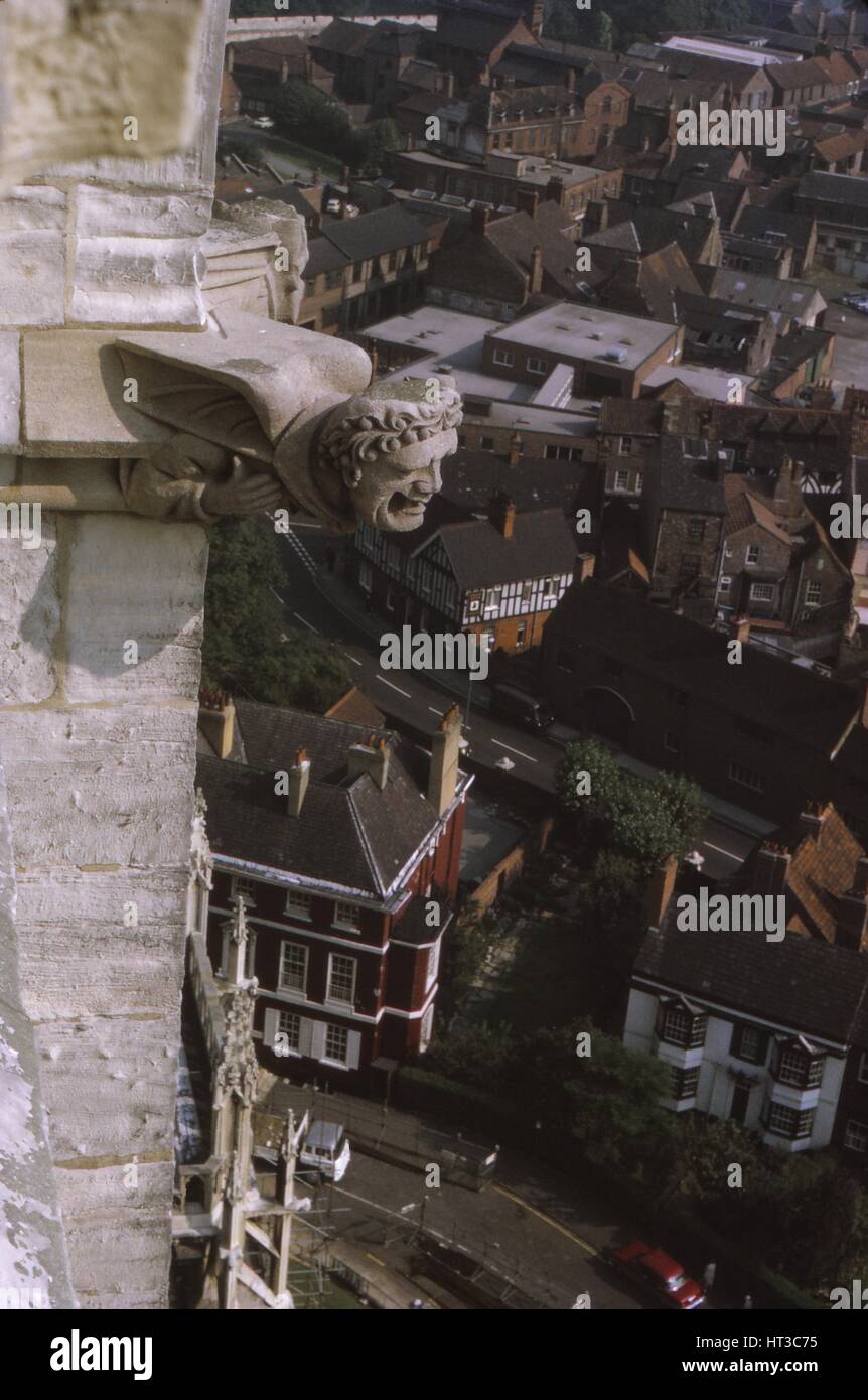 Gargoyle on tower, York Minster, 1958. Artist: CM Dixon. Stock Photo