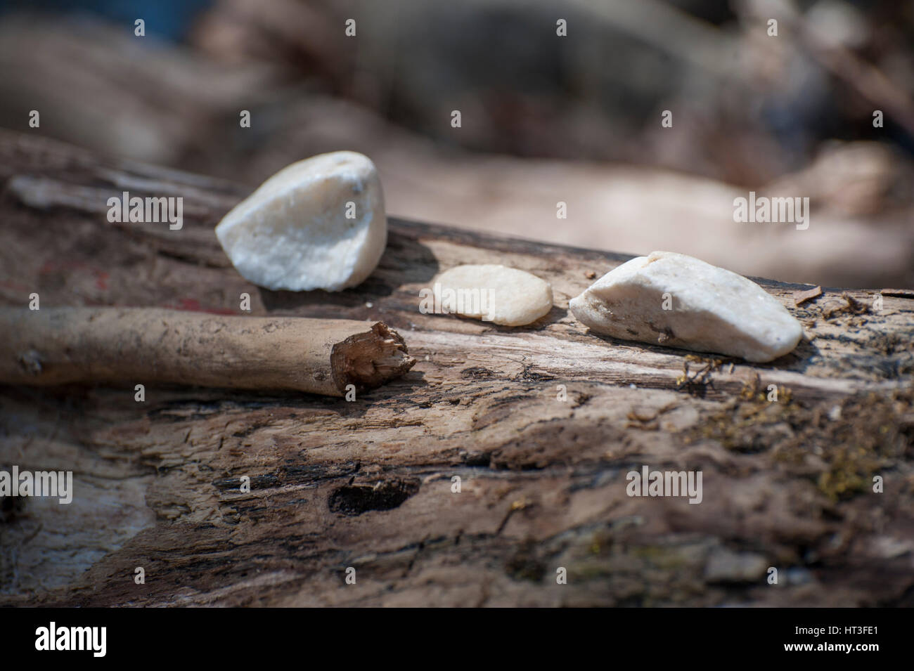 Sticks and Stones Stock Photo Alamy