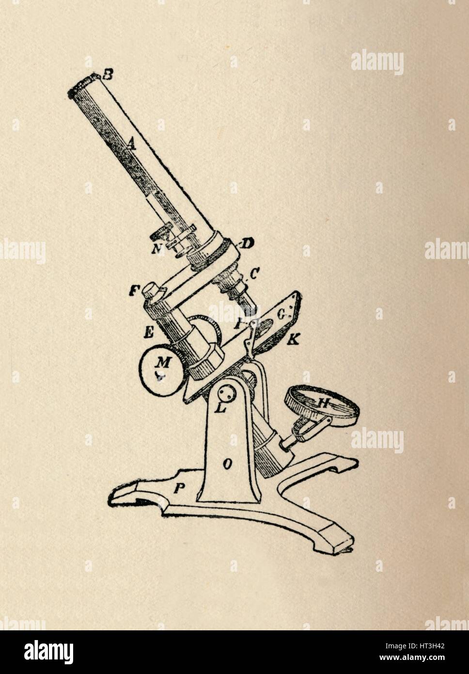 'Microscope', 1912. Artist: Unknown Stock Photo - Alamy
