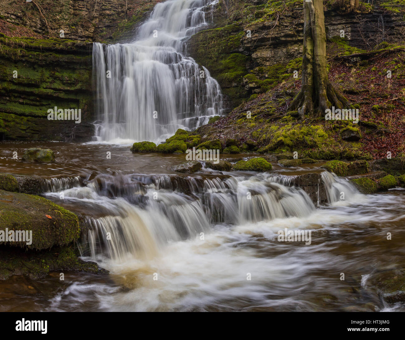 Scaleber Foos in North Yorkshire, Waterfall Stock Photo