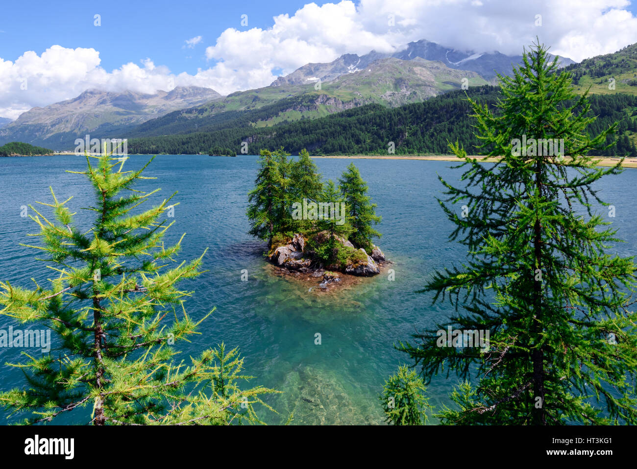 Amazing sunny day at Silsersee lake in the Swiss Alps. Segl, Switzerland, Europe. Stock Photo