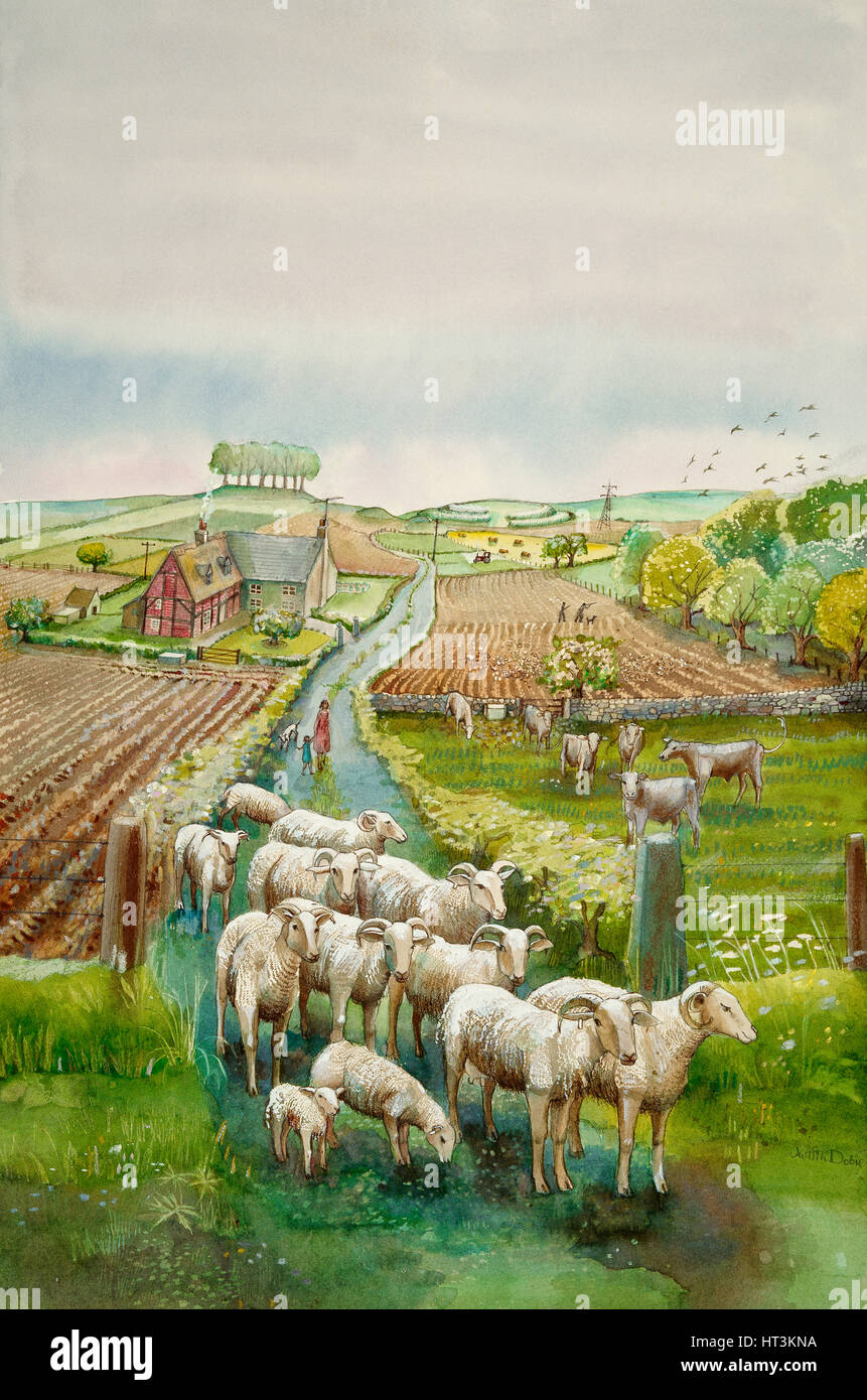 Rural landscape, c2010. Artist: Judith Dobie. Stock Photo