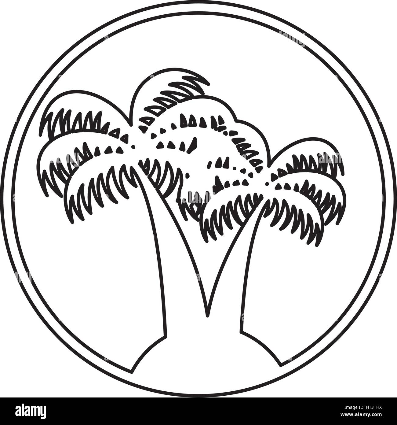 tree palm isolated icon Stock Vector Image & Art - Alamy
