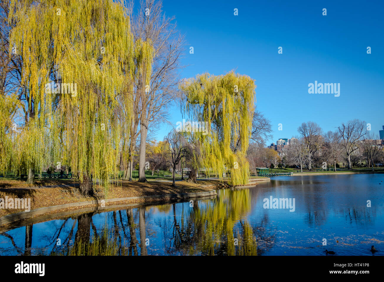Boston Public Garden Boston, Massachusetts, USA Stock Photo Alamy