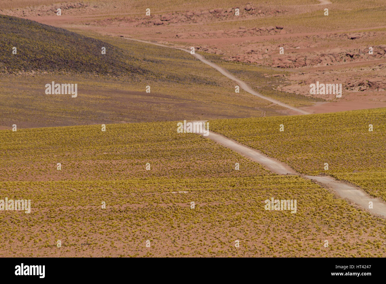 Gravel road in Andean landscape. Location: Between San Pedro de Atacama and El Tatio geysir field, Atacama, north Chile Stock Photo
