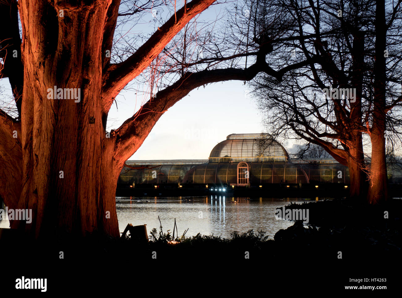 Europe, UK, England, London, Kew Gardens Christmas lights Stock Photo