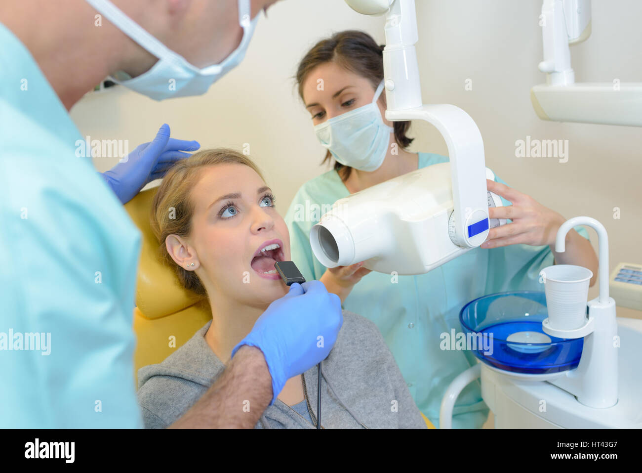 Dentist taking xray of female patient Stock Photo Alamy