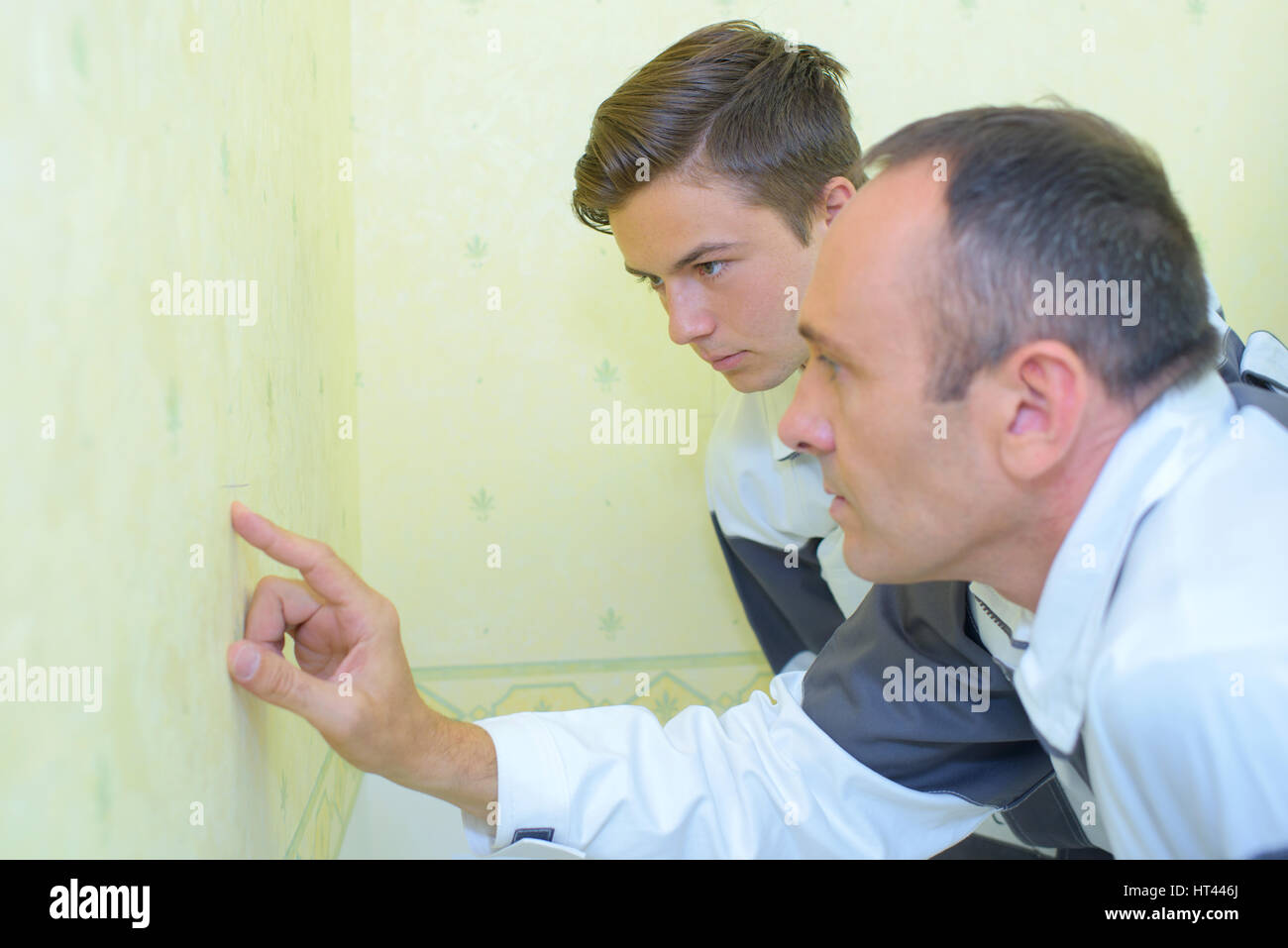 checking the wallpaper Stock Photo - Alamy