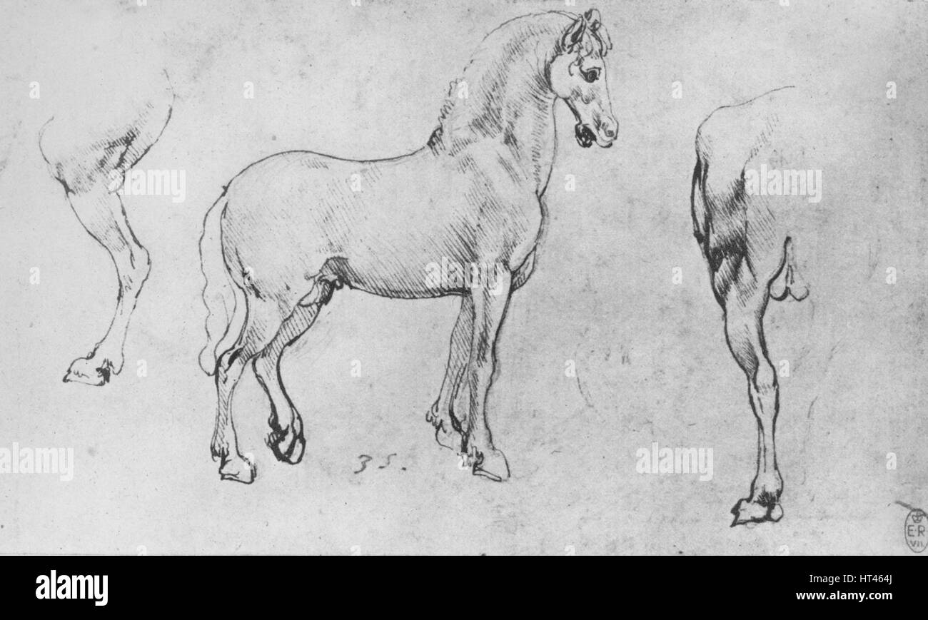 Featured image of post Horse Drawings - Begin to detail the horse&#039;s face.