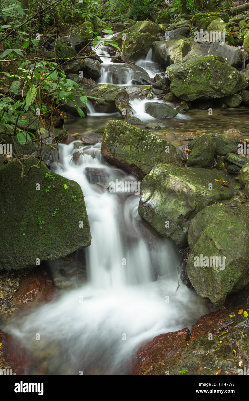 SMALL CASCADE EL YUNQUE NATIONAL FOREST RIO GRANDE PUERTO RICO Stock ...