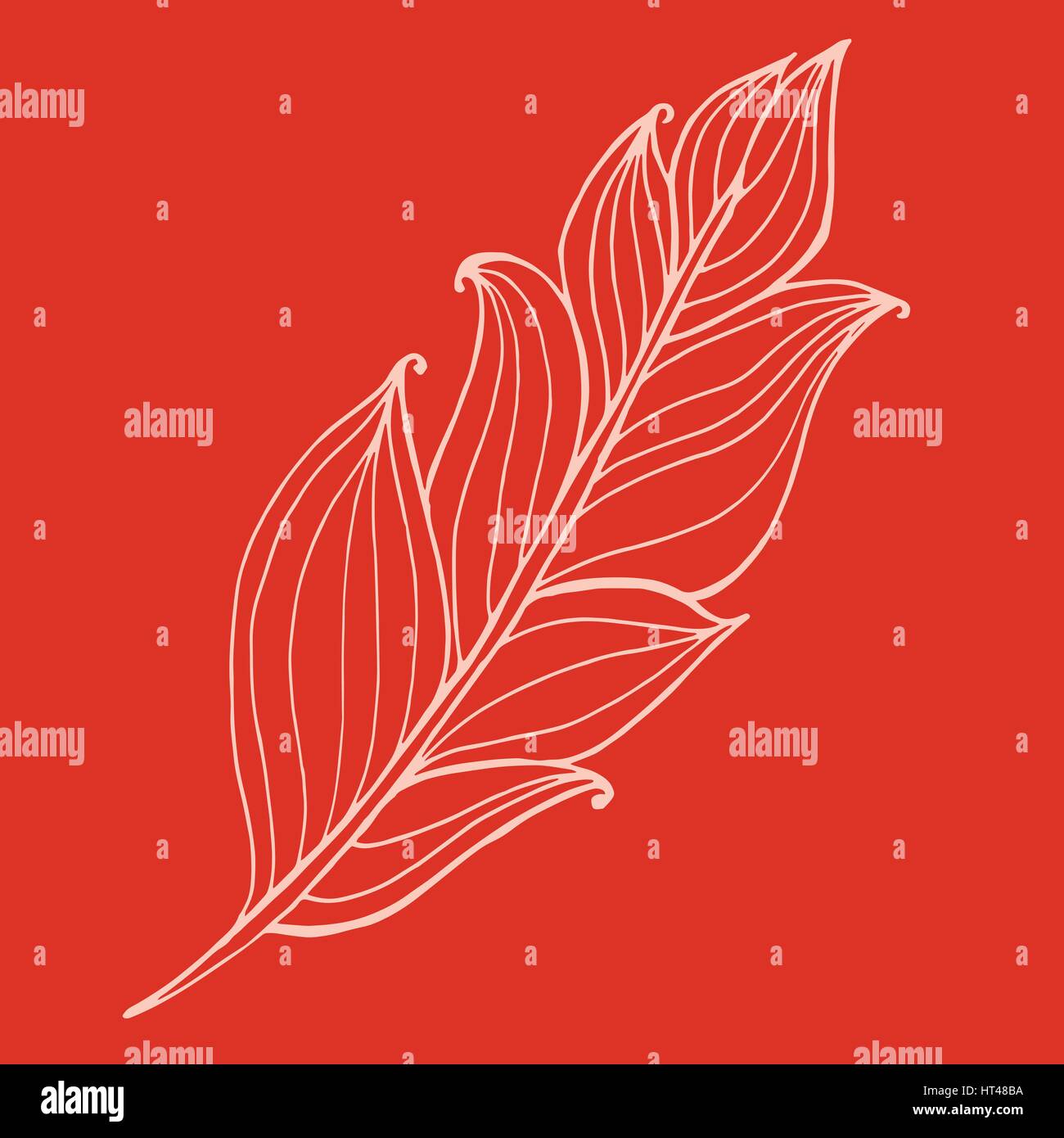 Hand drawn doodle zentangle feather isolated from background. Black ...