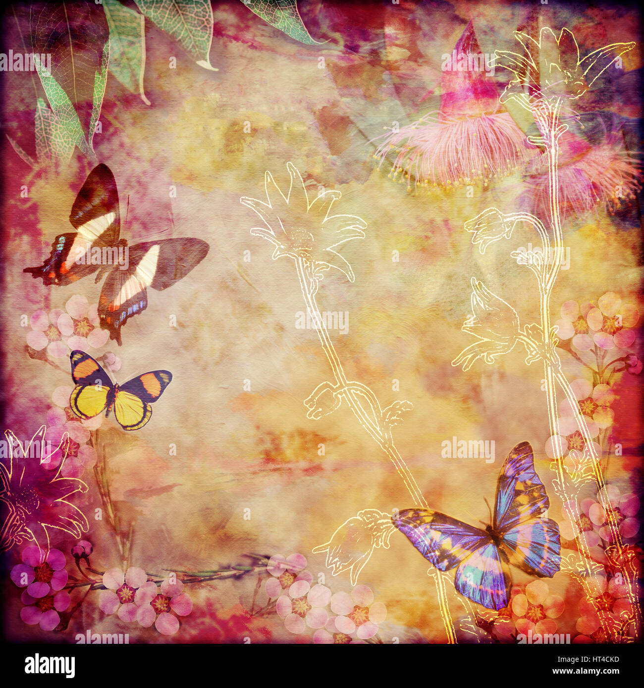 Vintage floral background with Australian butterflies. Photo montage on colourful aged canvas textured background. Copy space for text. Stock Photo