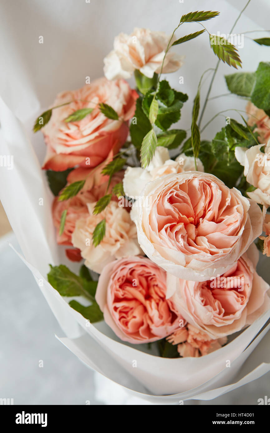 Roses on white background Stock Photo - Alamy