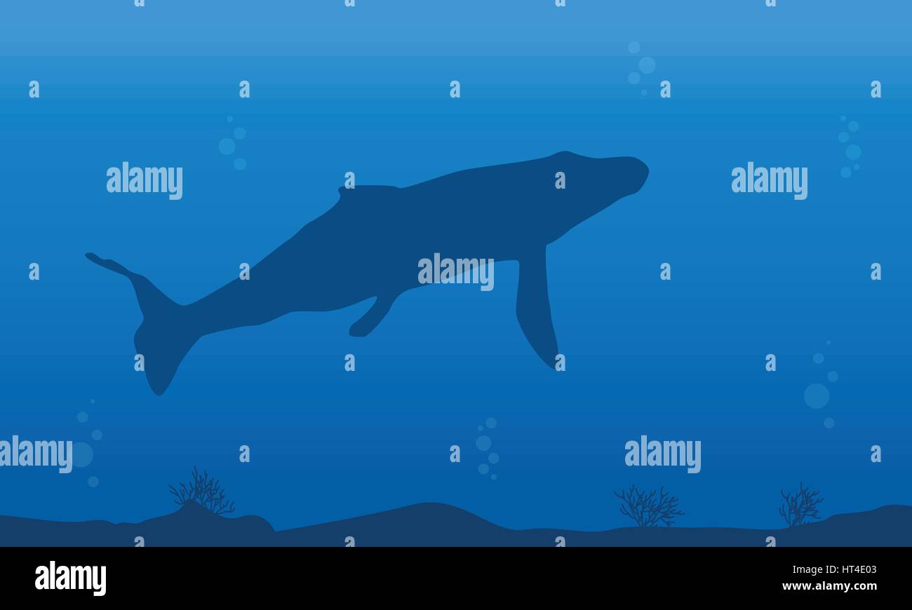 Silhouette of whale on blue sea Stock Vector Image & Art - Alamy