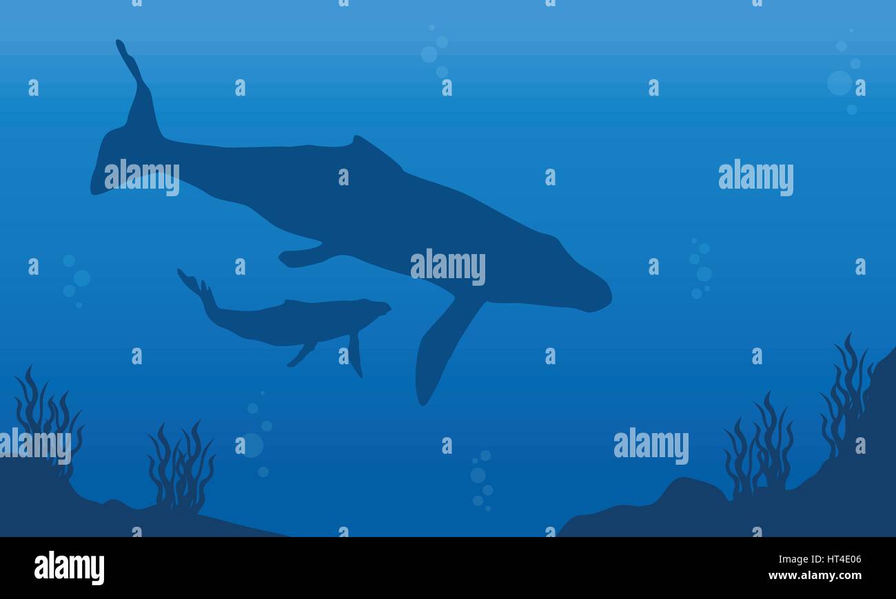 Silhouette of whale on ocean landscape Stock Vector Image & Art - Alamy