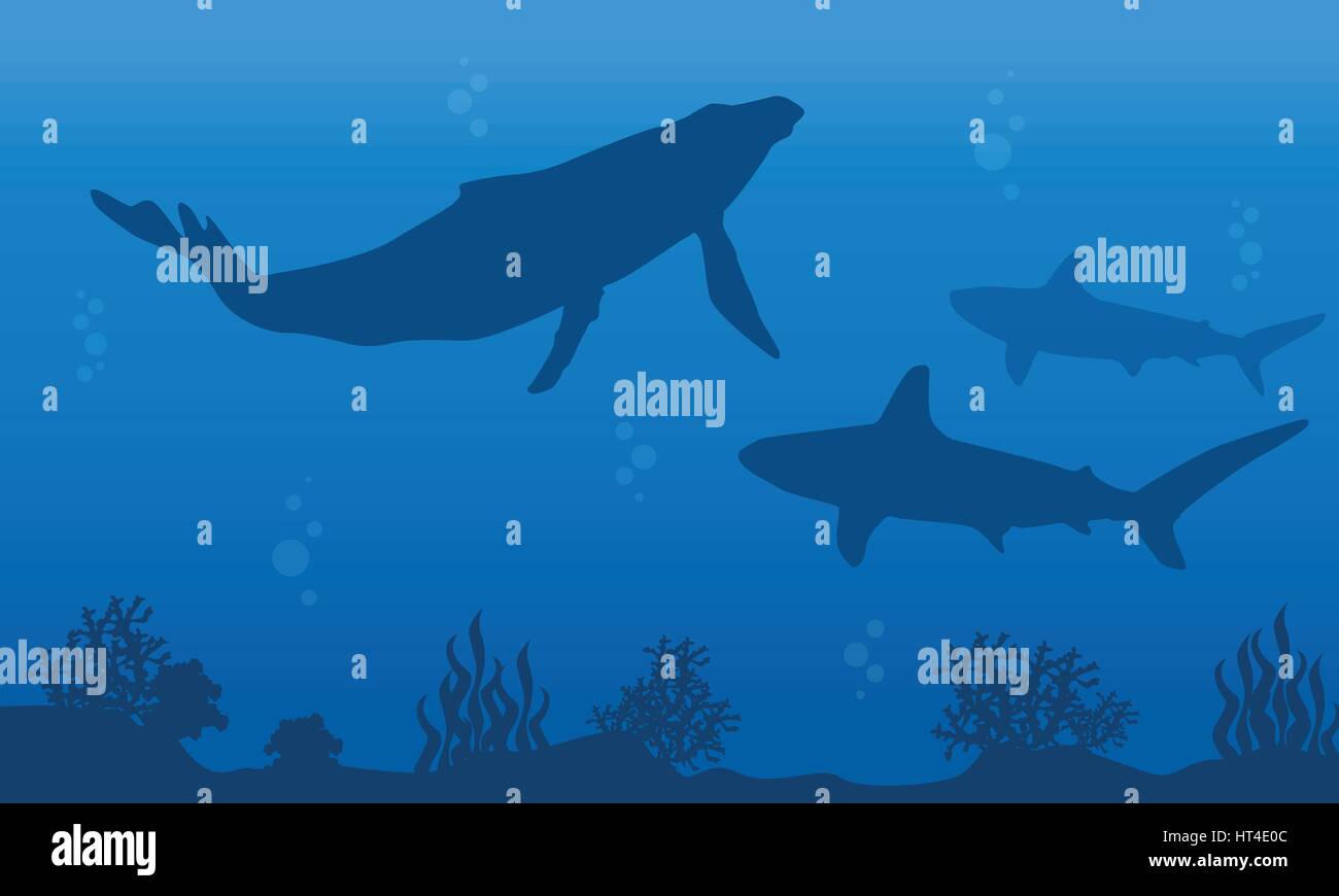 Silhouette of whale and shark on ocean landscape Stock Vector Image ...