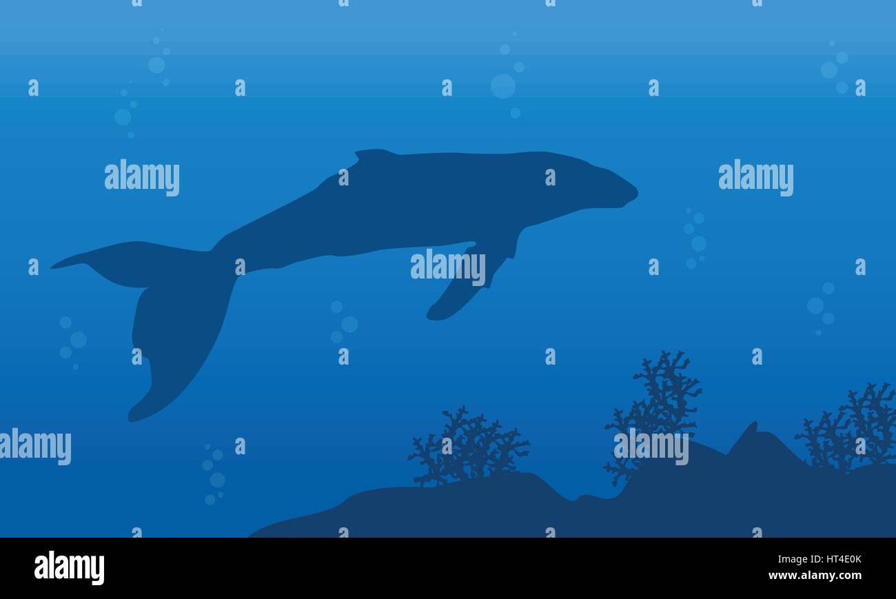 Silhouette of one whale on ocean landscape Stock Vector Image & Art - Alamy