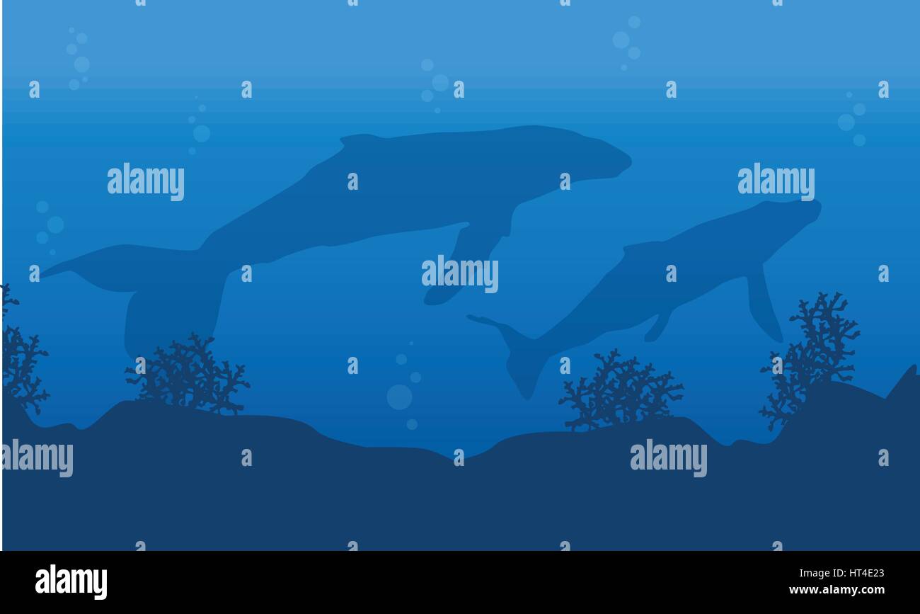 Silhouette of whale on underwater landscape Stock Vector Image & Art ...