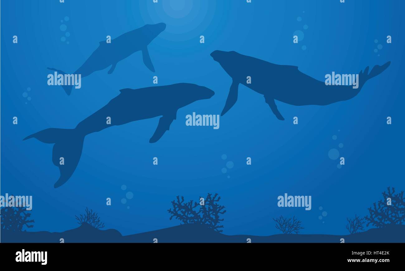 Beauty landscape ocean with whale silhouettes Stock Vector Image & Art ...