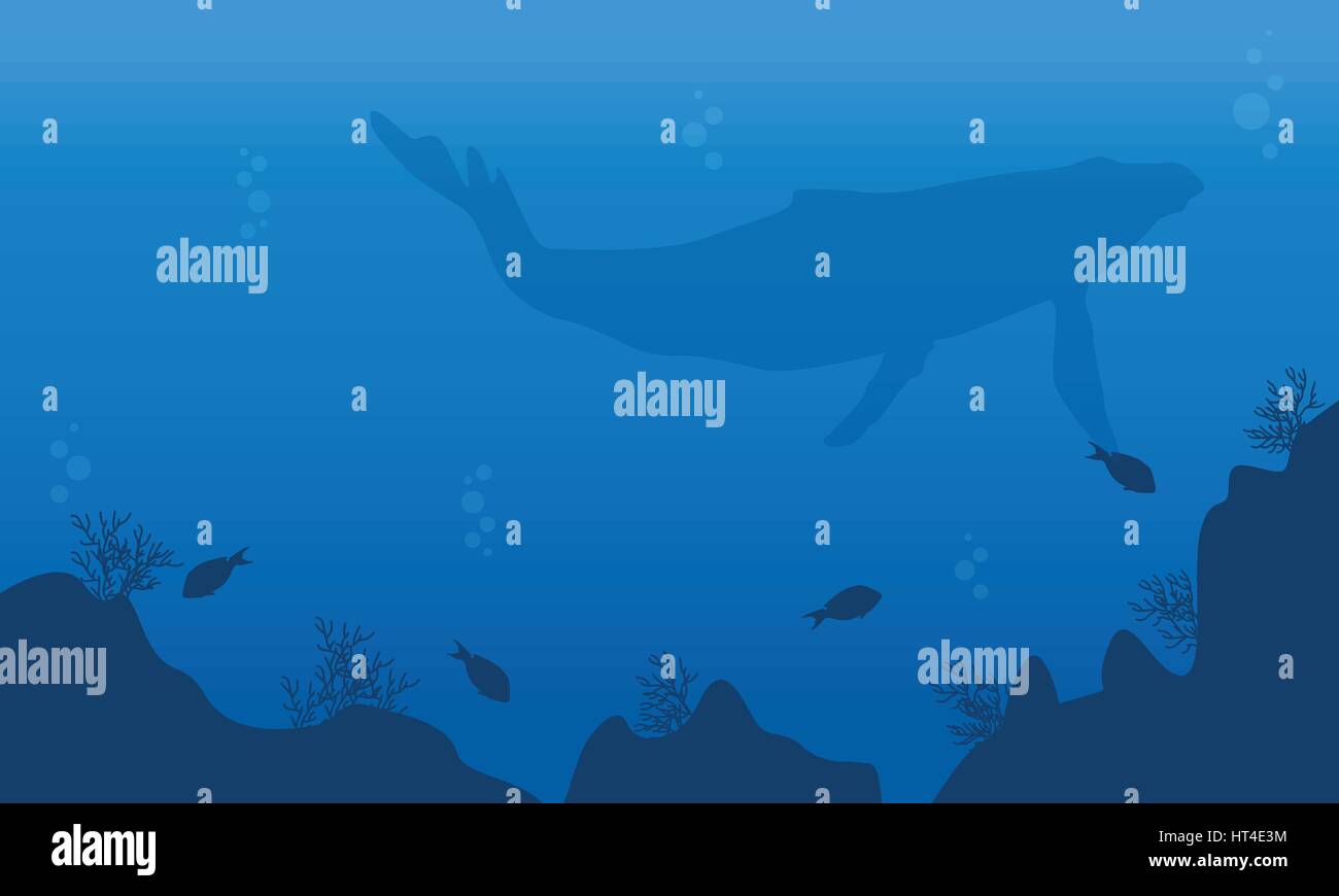 Landscape of big whale and fish silhouettes Stock Vector Image & Art ...
