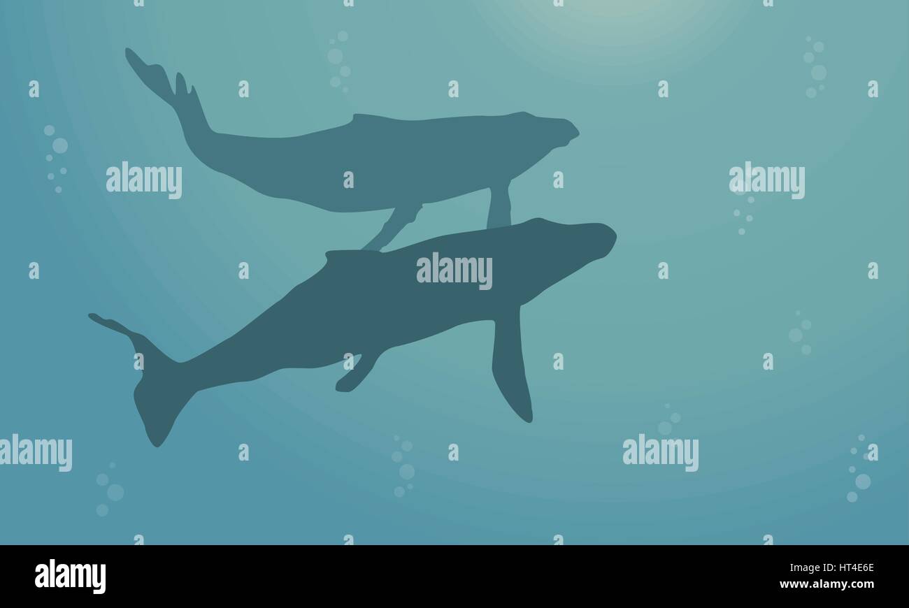 Landscape of ocean with whale silhouettes Stock Vector Image & Art - Alamy