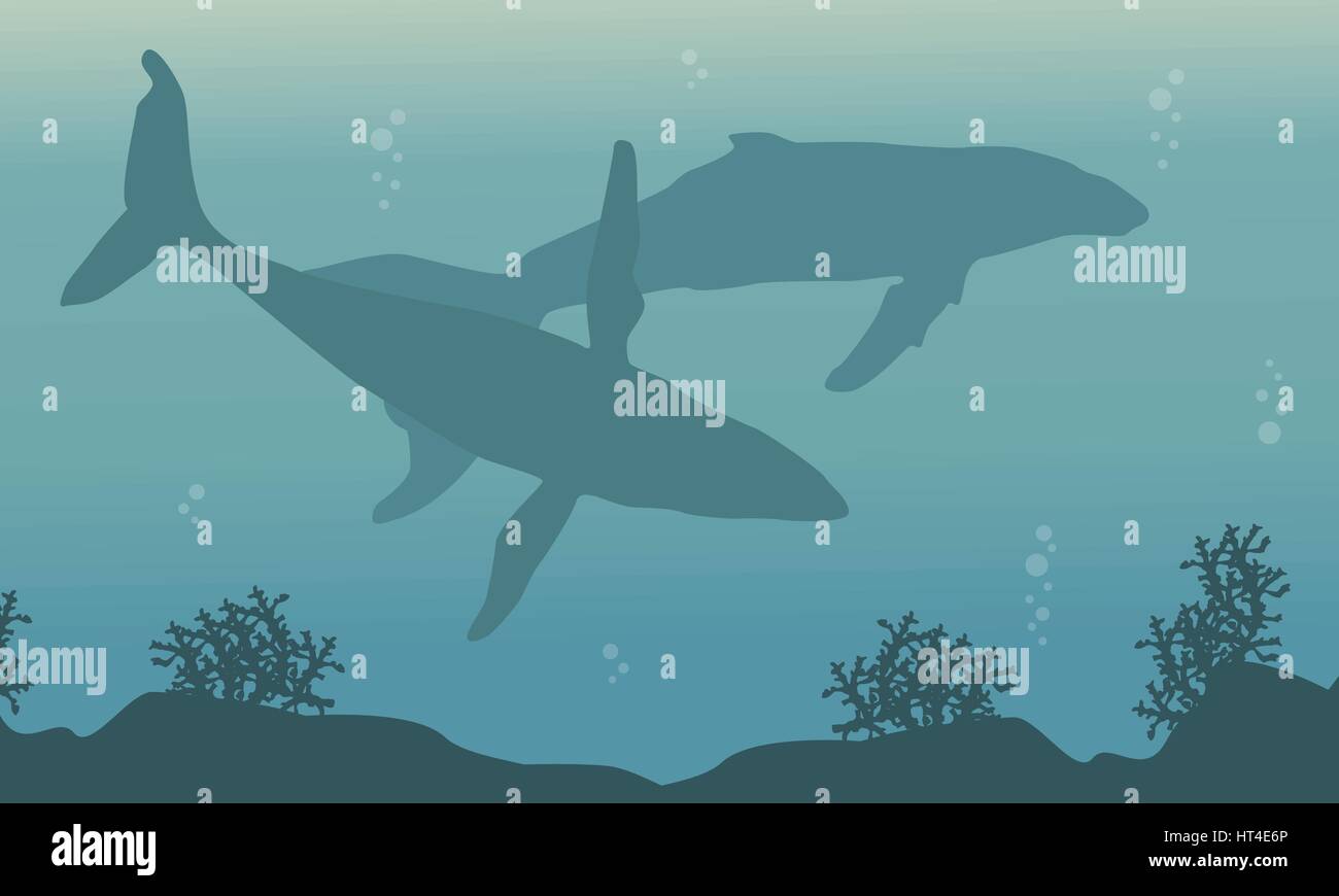 Landscape of whale on ocean silhouettes Stock Vector Image & Art - Alamy