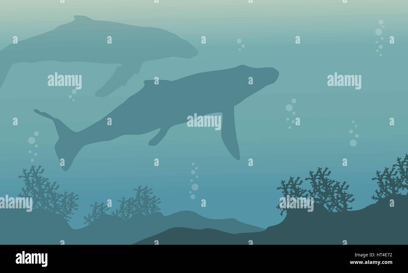 Silhouette landscape of underwater whale Stock Vector Image & Art - Alamy