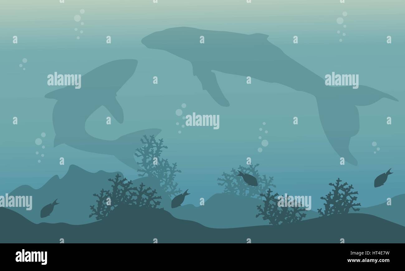 Silhouette of big whale on ocean landscape Stock Vector Image & Art - Alamy