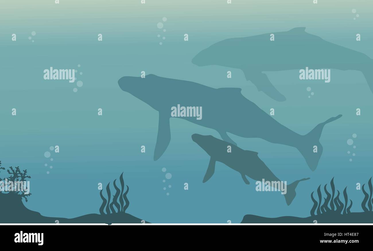 Landscape whale on ocean silhouette Stock Vector Image & Art - Alamy
