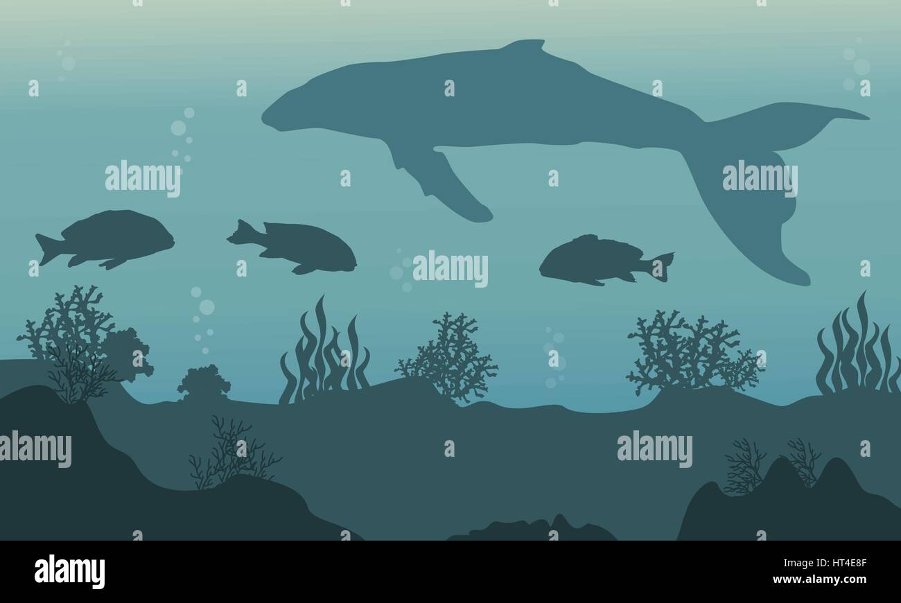 Landscape of whale and fish silhouette underwater Stock Vector Image ...