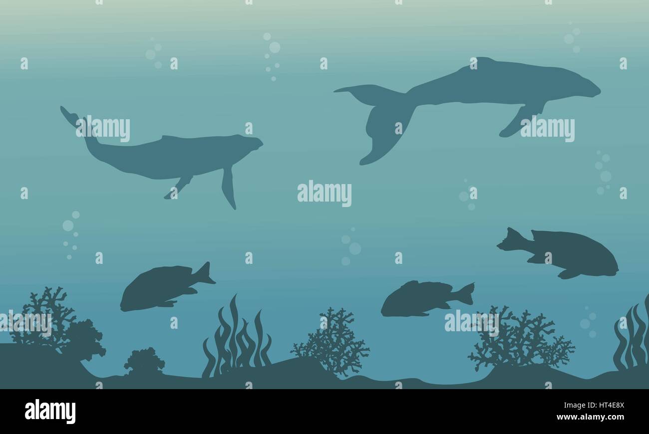 Silhouette of ocean with whale and fish landscape Stock Vector Image ...