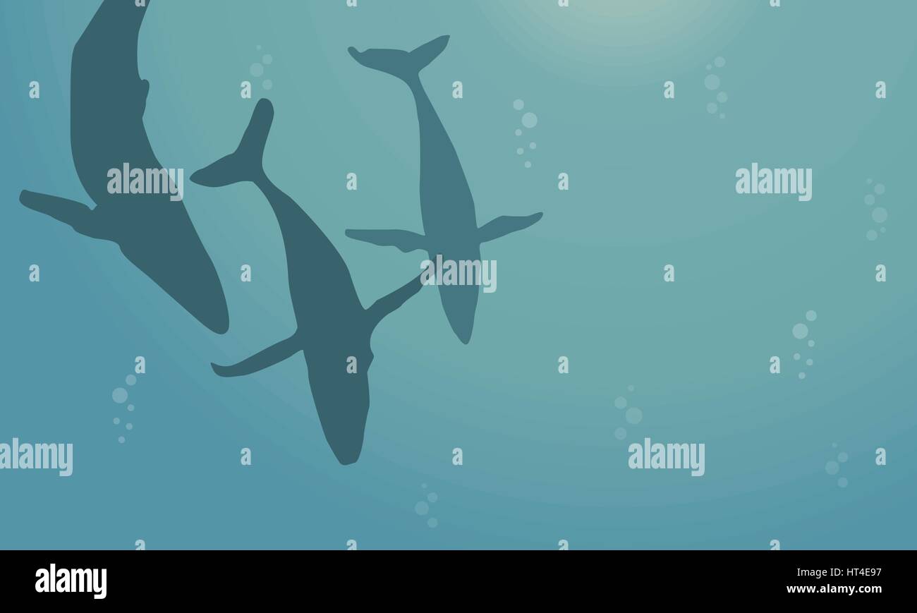 Silhouette of whale on ocean collection landscape Stock Vector Image ...
