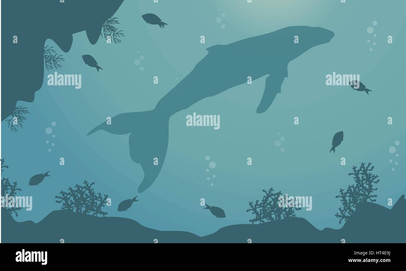Landscape of whale and reef silhouettes Stock Vector Image & Art - Alamy