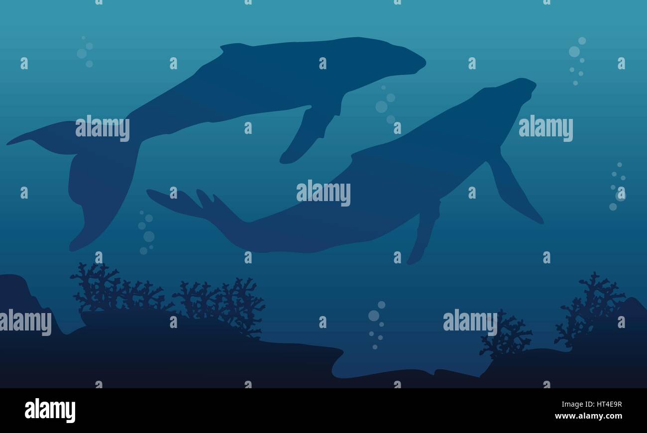 Landscape of two big whale silhouettes Stock Vector Image & Art - Alamy