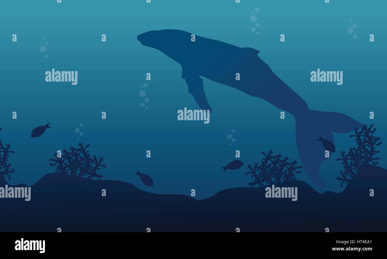 Big whale on ocean landscape silhouette Stock Vector Image & Art - Alamy