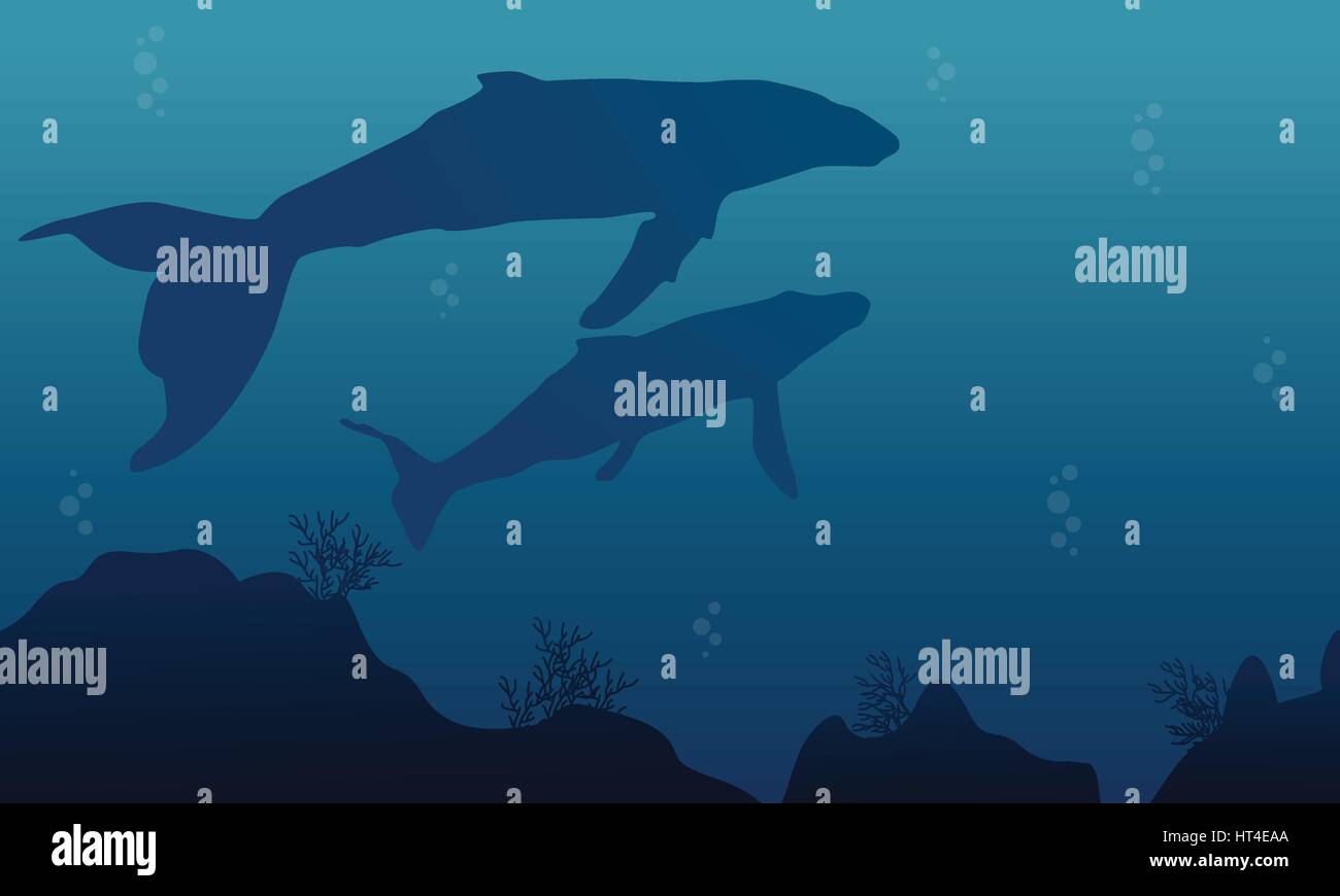 Silhouette of whale and reef landscape Stock Vector Image & Art - Alamy