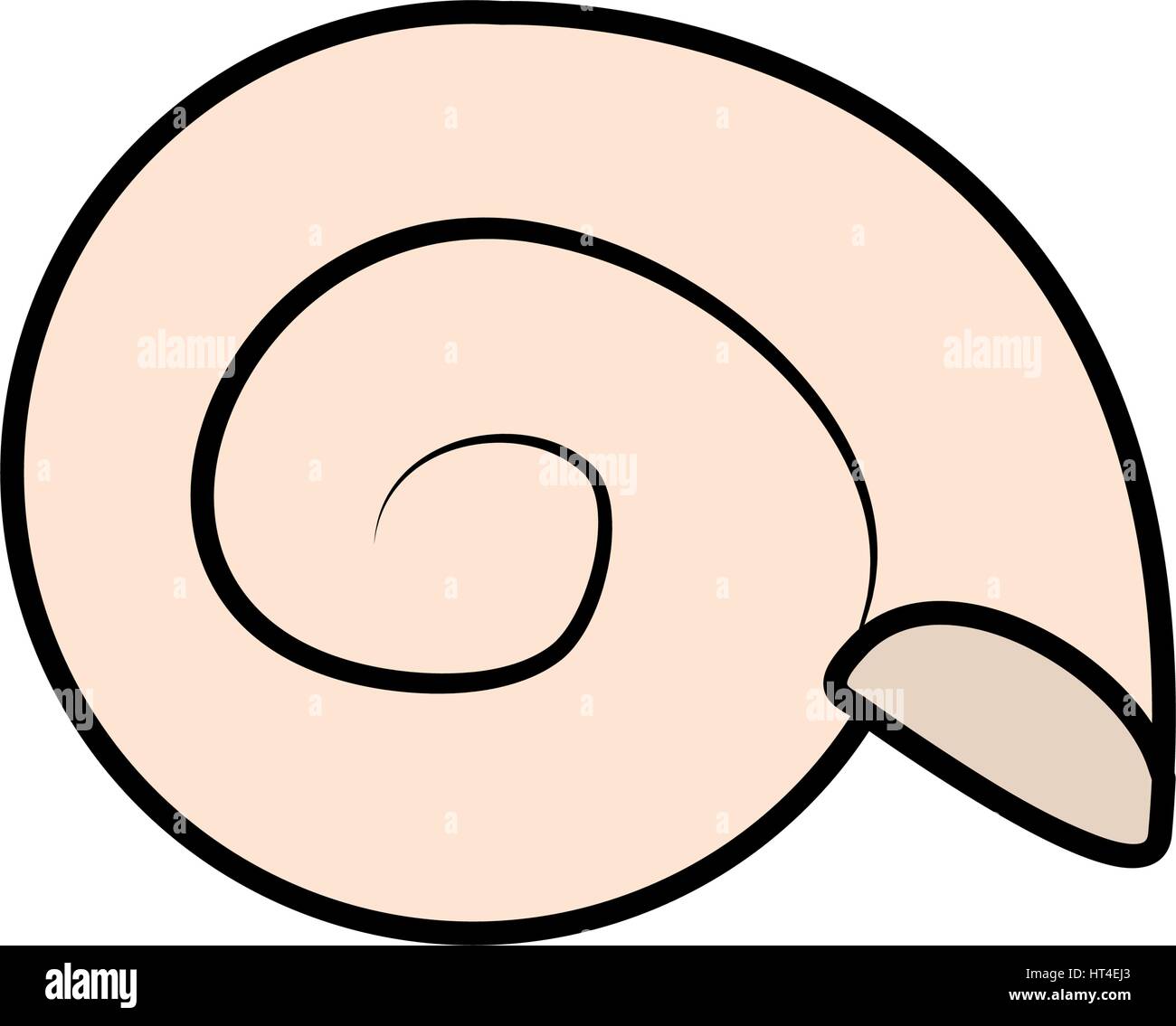 conch or shell icon image Stock Vector Image & Art - Alamy