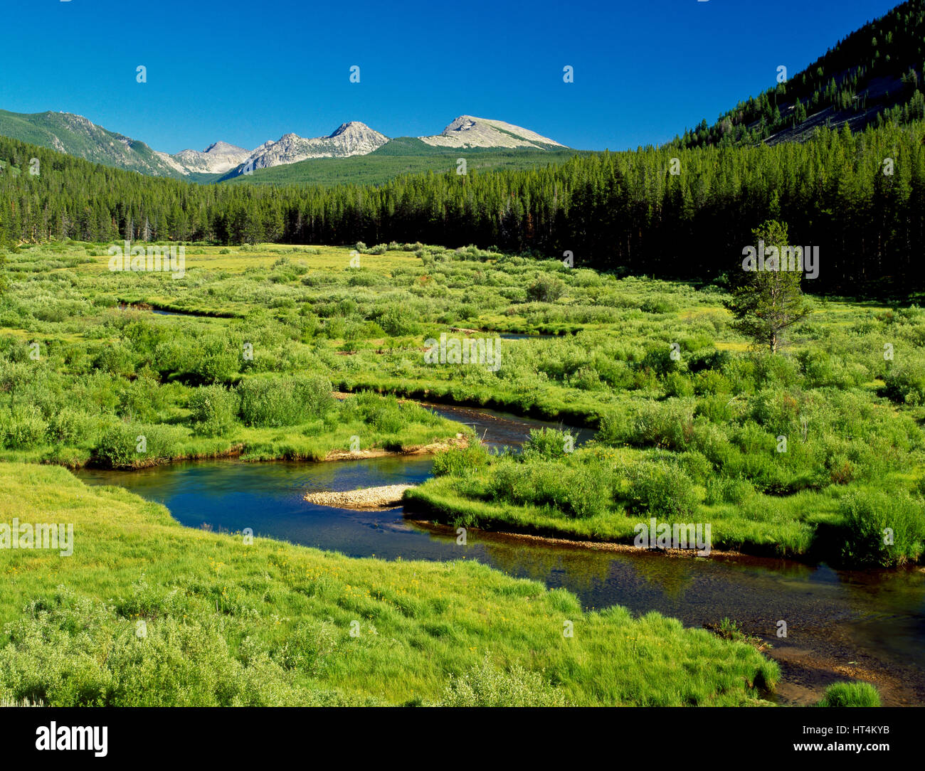 upper wise river flowing through lush riparian valley below the pioneer