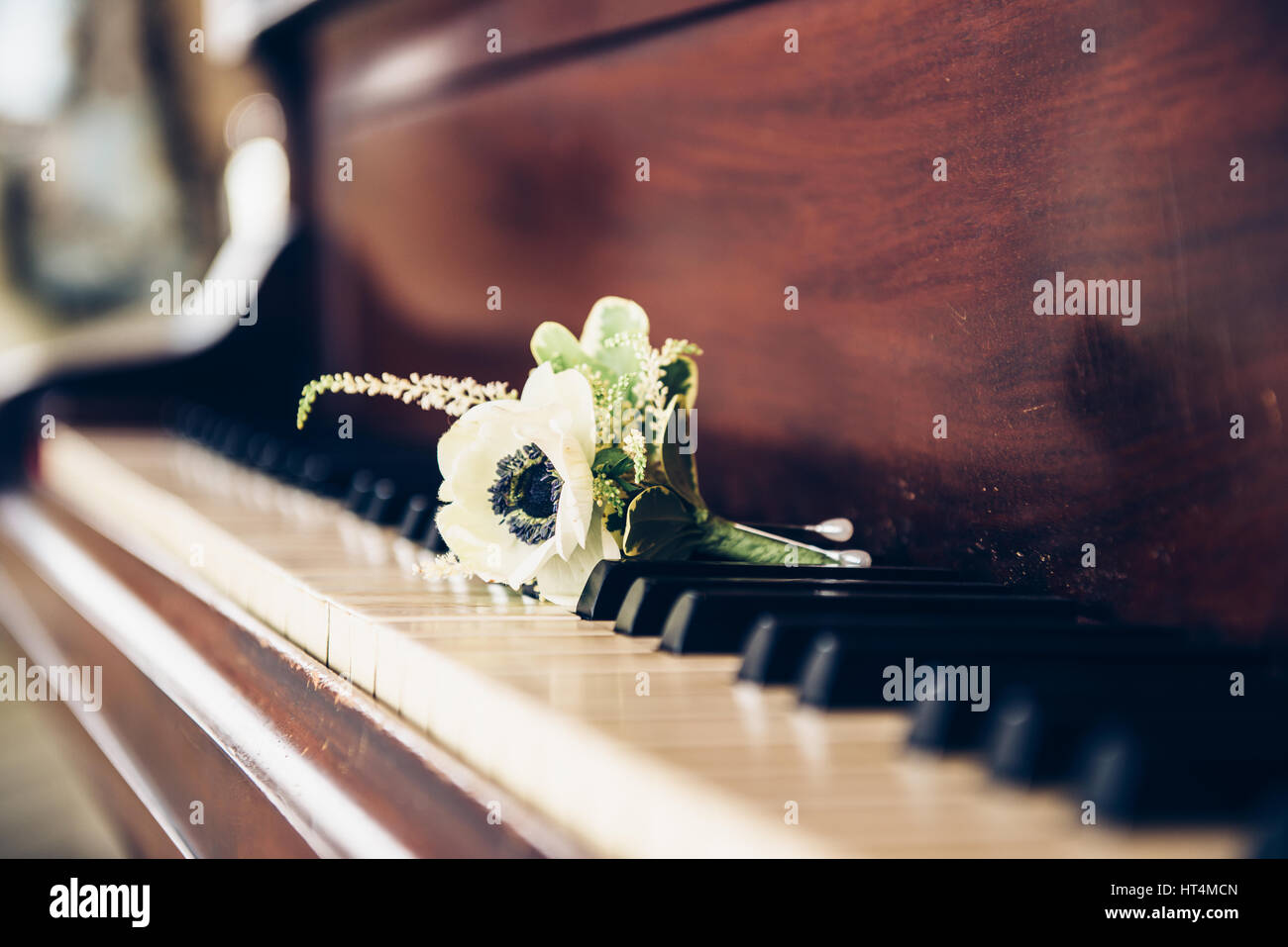 Wedding day concept. Boutonniere flower for groom on the vintage piano keys. Stock Photo