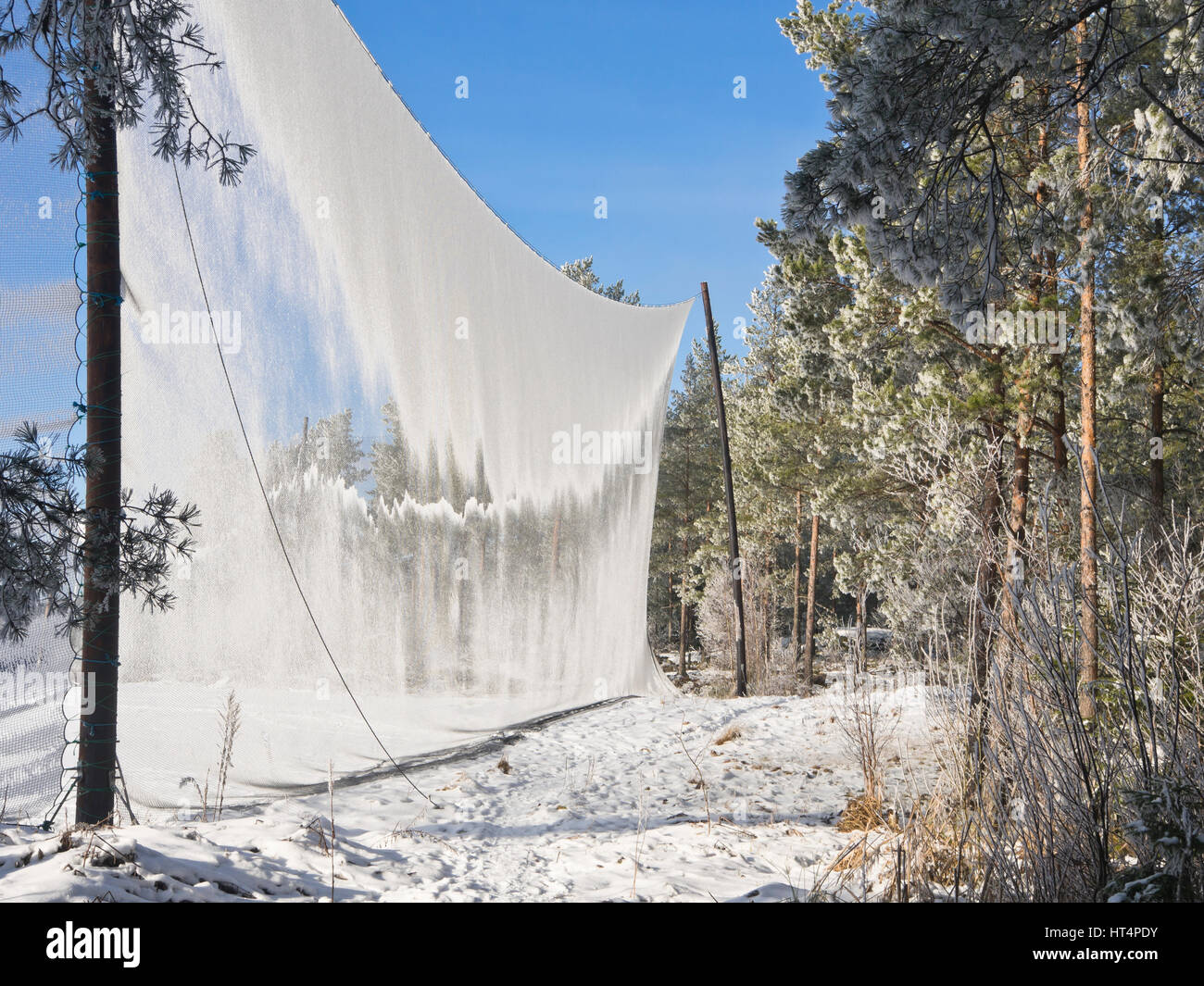 Winter Forest And Golf Course On The Outskirts Of The Norwegian Capital 