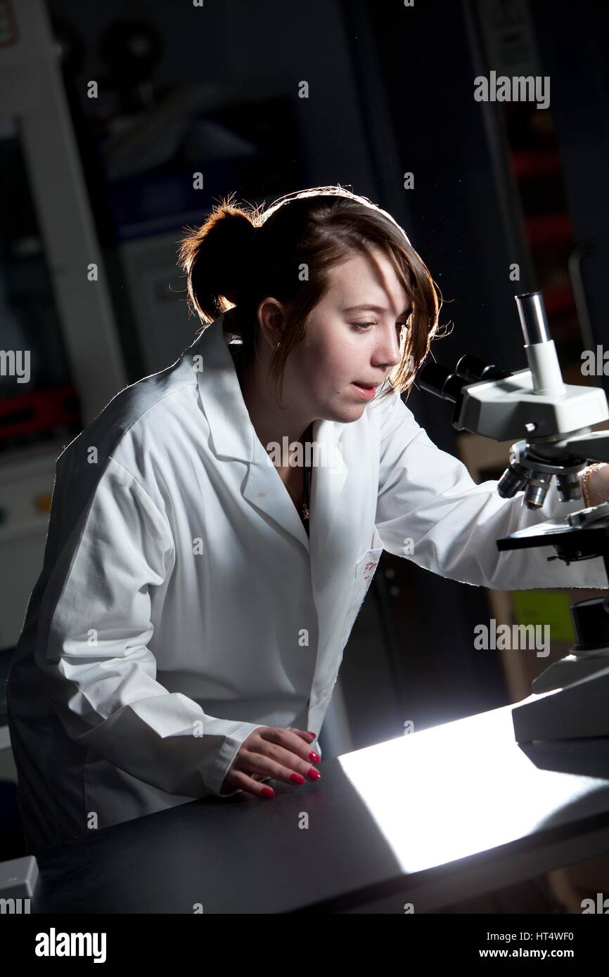 A teenage pupil during a science lesson at a secondary school Stock Photo