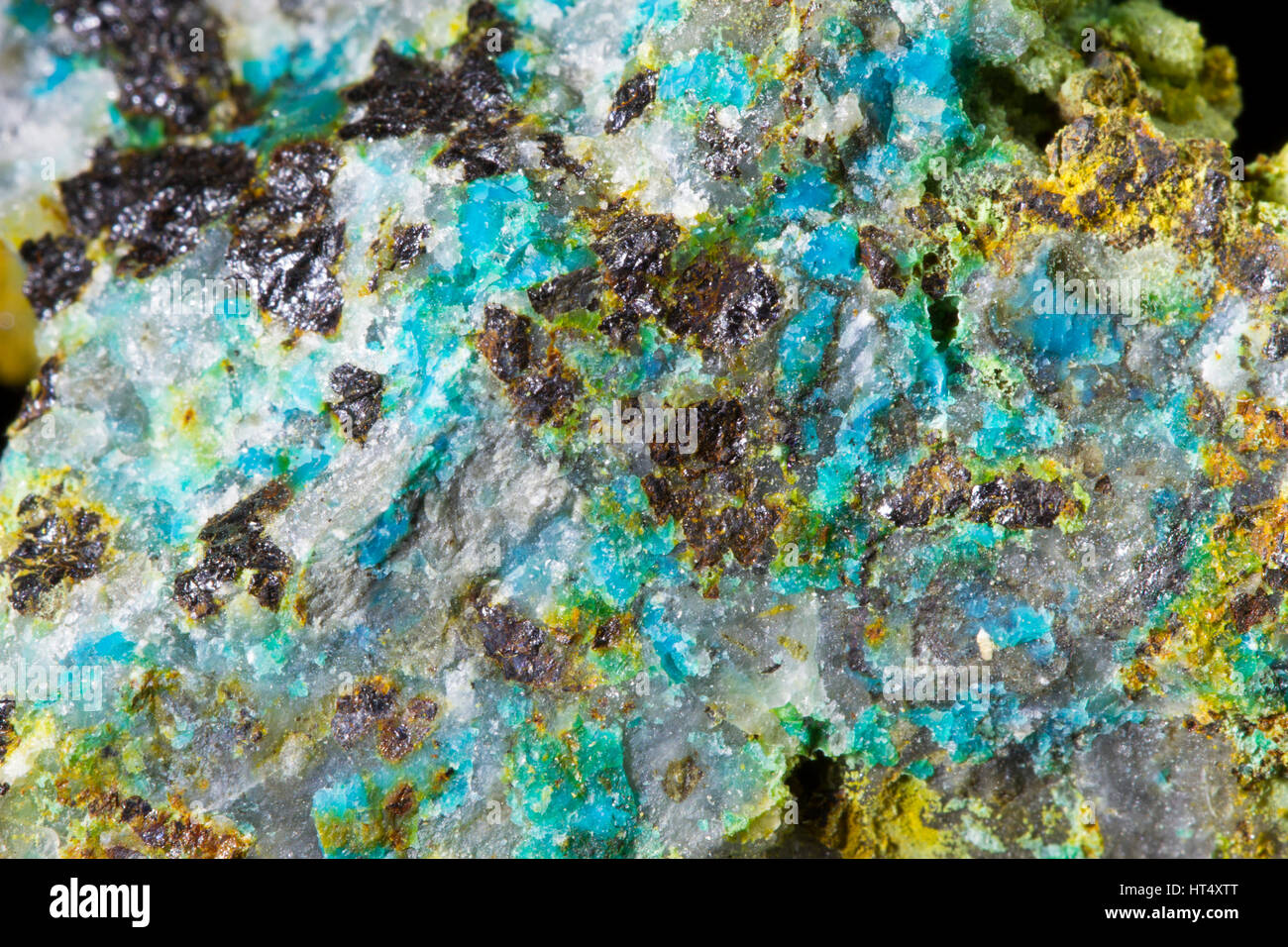 Chrysocolla (hydrated copper phyllosilicate) crystals encrusting quartz. From the   Mynydd Gorddu mine, Ceredigion, Wales. Stock Photo