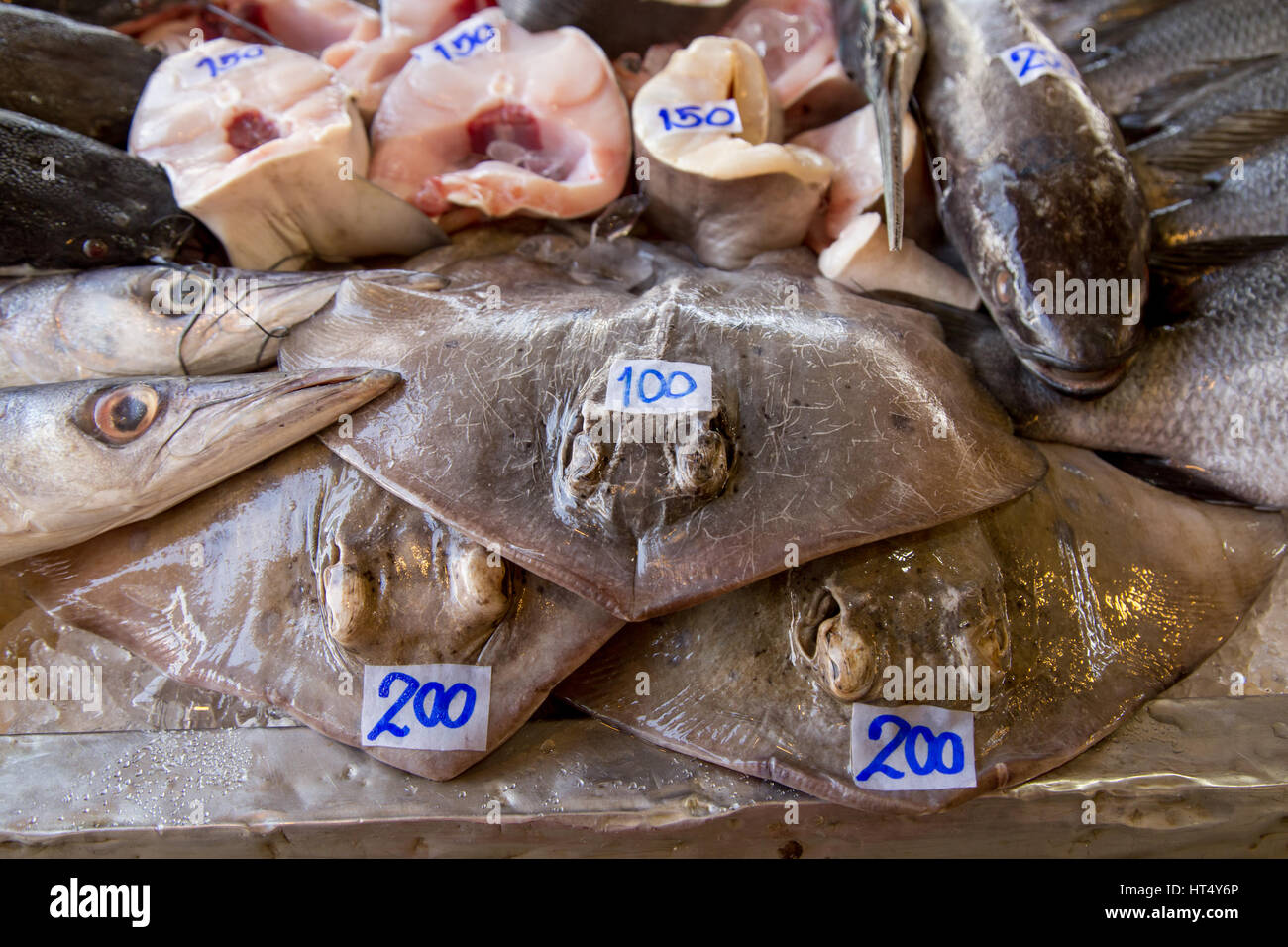 row of fresh seafood in the Asian market. cramp fish Stock Photo